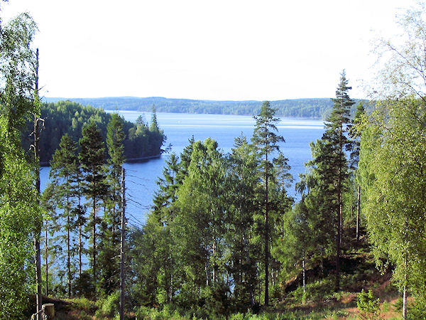 Blick vom Wald auf den See